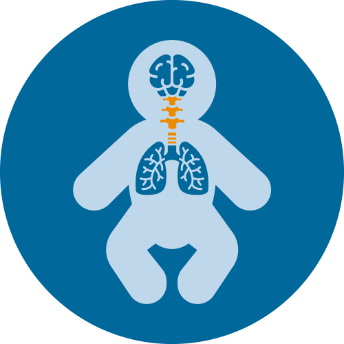 Neuroprotective Lung Strategies